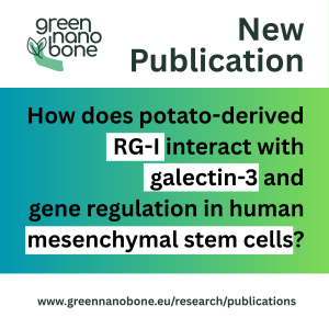 First GreenNanoBone Study Reveals that Modifying Rhamnogalacturonan-I (RG-I)
